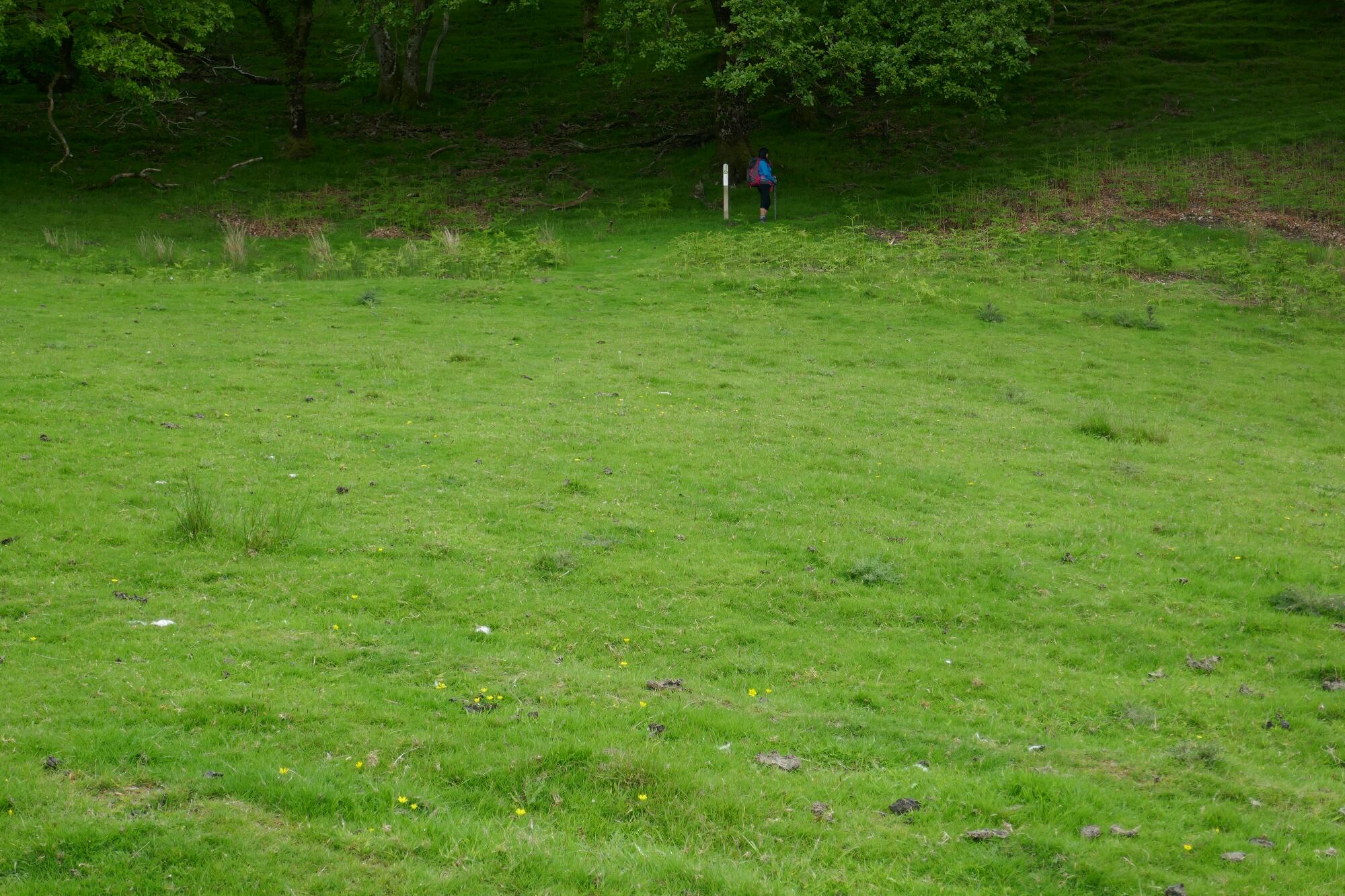 RachelSeabrook.net | Wild Walking | Devils-Bridge; pic19